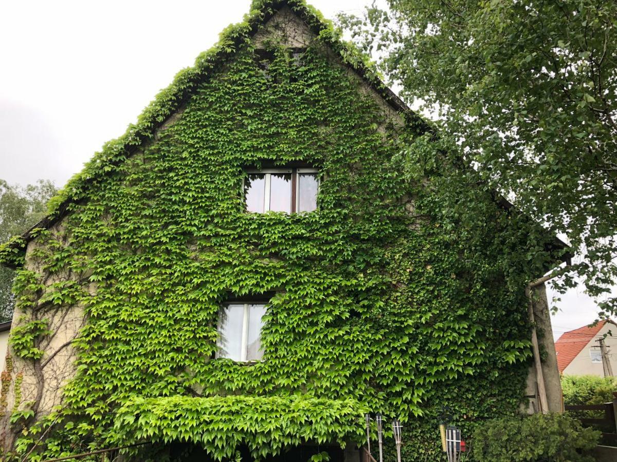 Veranda Apartman Nyíregyháza 외부 사진