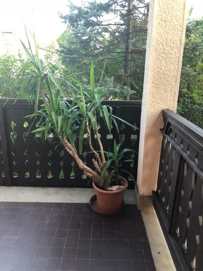 Veranda Apartman Nyíregyháza 외부 사진
